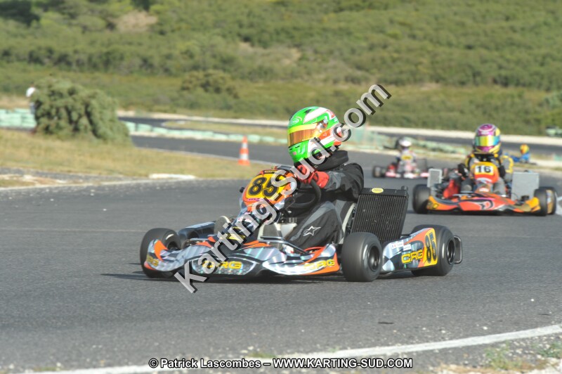 DSC (4065).JPG